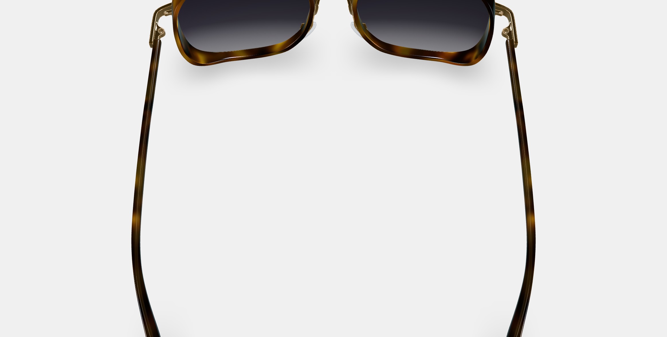 Fernanda Sunglasses in Cognac Tortoise with Polished Gold 3D model_3