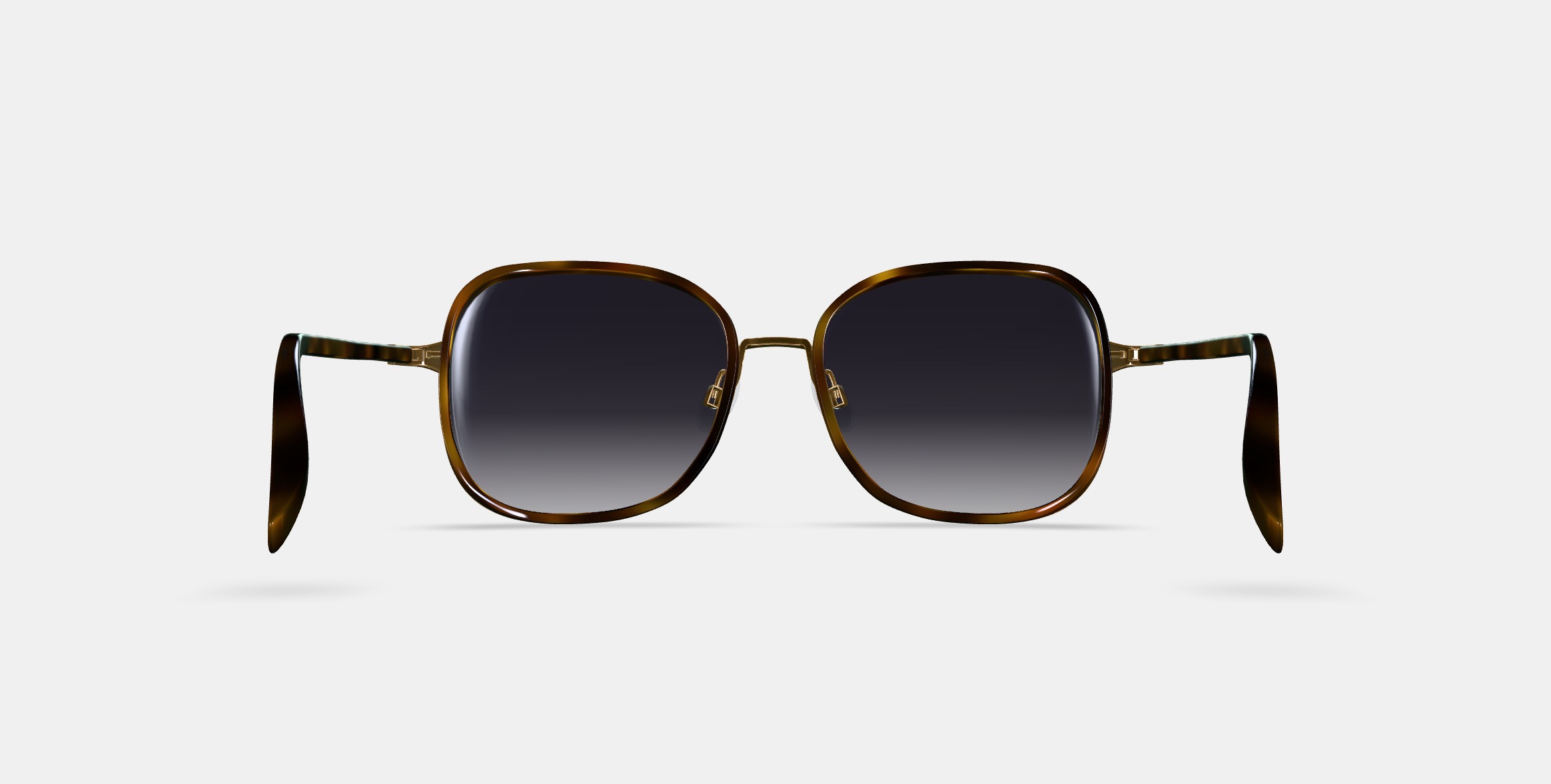 Fernanda Sunglasses in Cognac Tortoise with Polished Gold 3D model_14