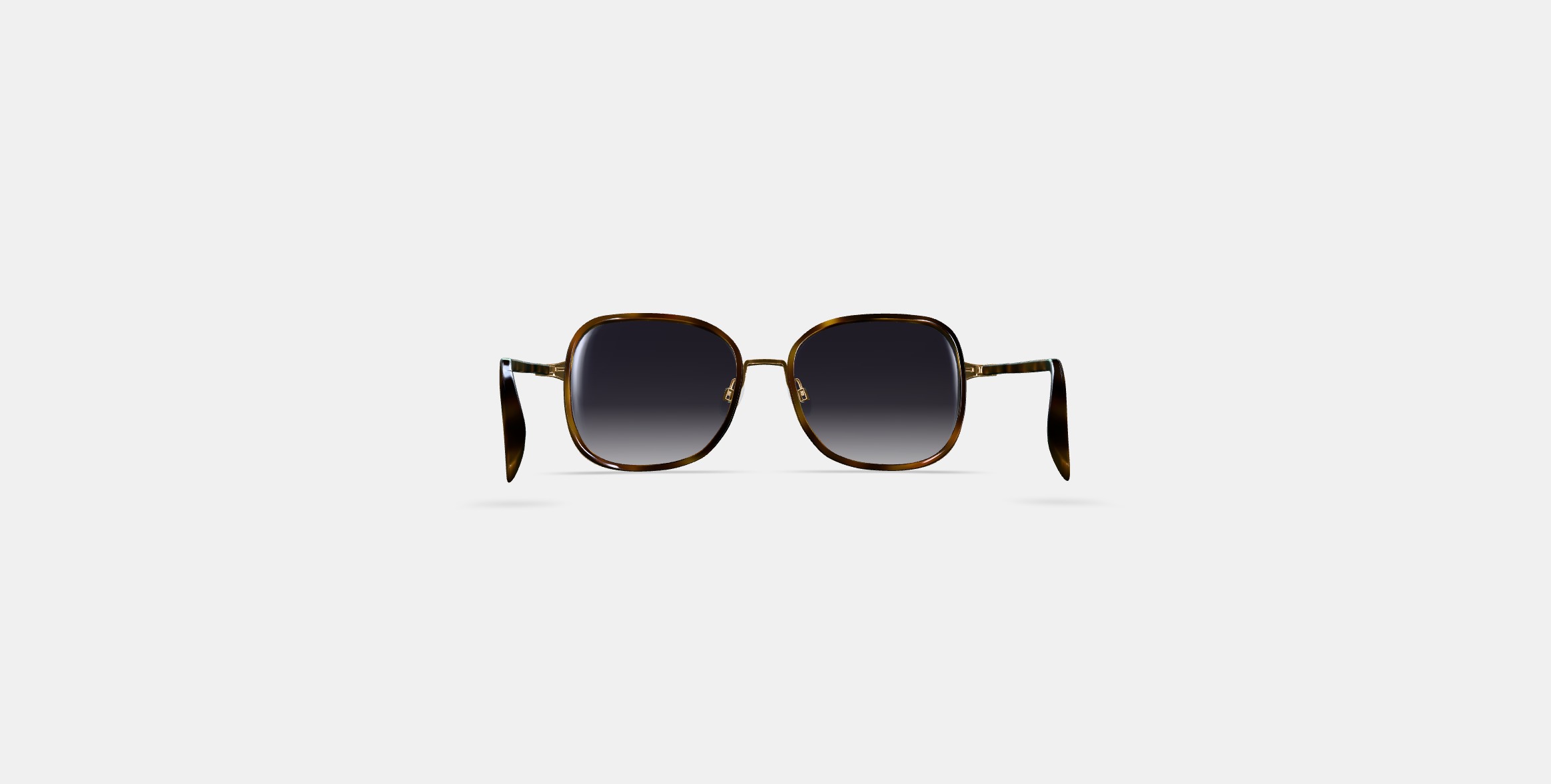 Fernanda Sunglasses in Cognac Tortoise with Polished Gold 3D model_13