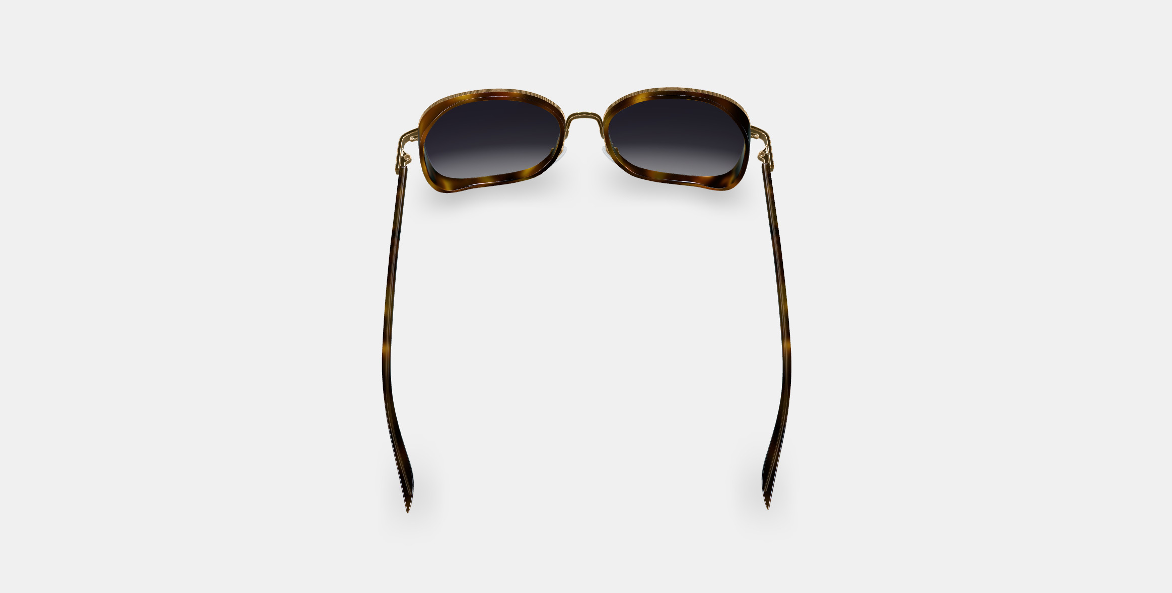 Fernanda Sunglasses in Cognac Tortoise with Polished Gold 3D model_2