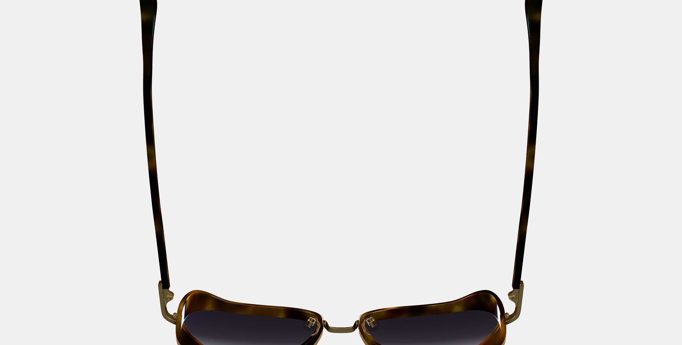 Fernanda Sunglasses in Cognac Tortoise with Polished Gold 3D model_7