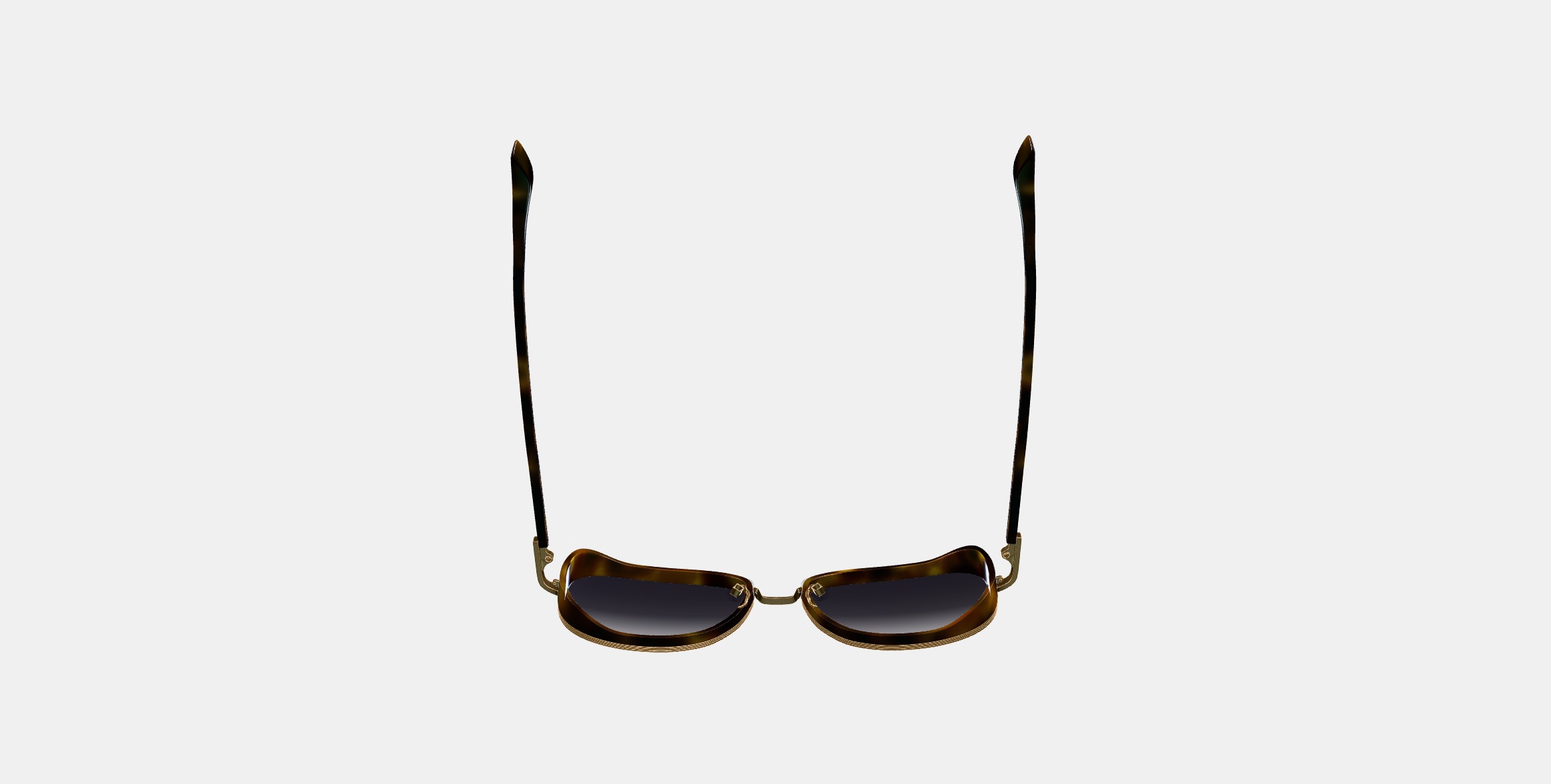 Fernanda Sunglasses in Cognac Tortoise with Polished Gold 3D model_6
