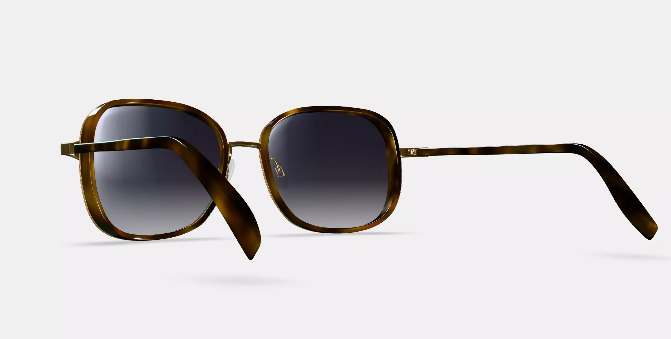 Fernanda Sunglasses in Cognac Tortoise with Polished Gold 3D model_0