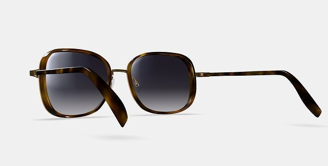 Fernanda Sunglasses in Cognac Tortoise with Polished Gold 3D model