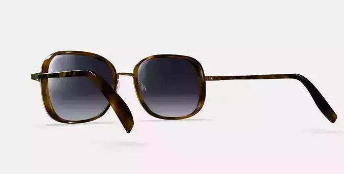 Fernanda Sunglasses in Cognac Tortoise with Polished Gold