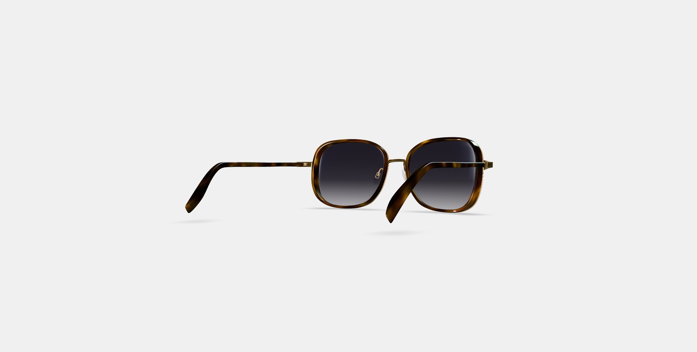 Fernanda Sunglasses in Cognac Tortoise with Polished Gold 3D model_4