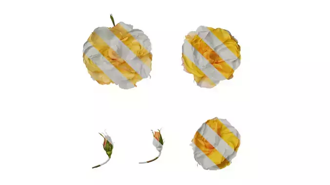 Anydrafts Rosa chinensis Flower 19