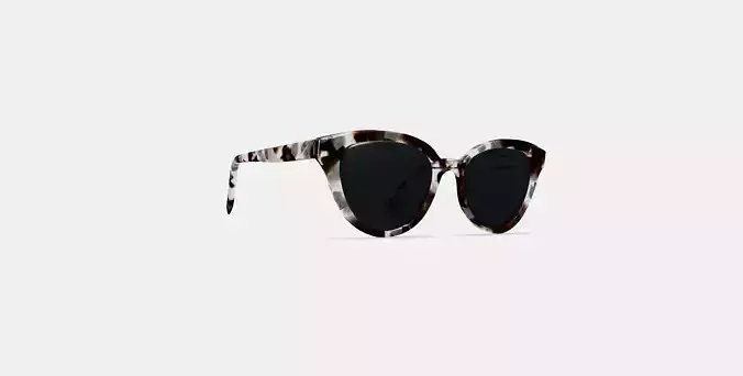 Marris Sunglasses in Meteorite Tortoise