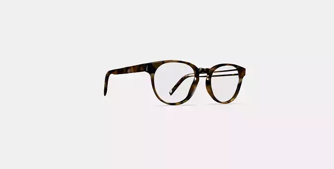 Whalen Eyeglasses in Terrazzo Tortoise 3D model