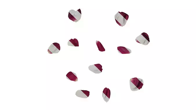 Anydrafts Rosa chinensis Flower 21