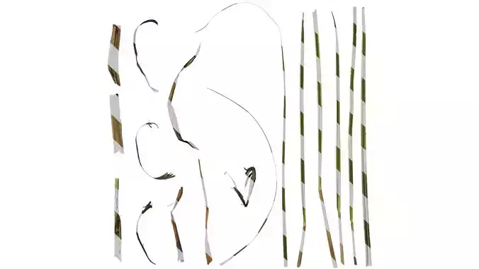 Anydrafts Miscanthus sinensis variegatus 01 Leaf 02