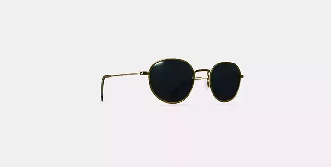 Rafael Sunglasses in Polished Gold 3D model