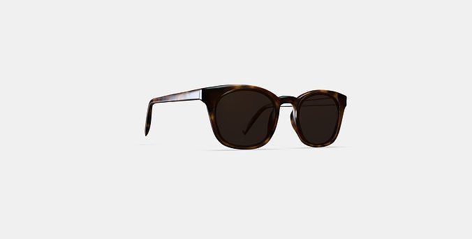 Newman Sunglasses in Woodgrain Tortoise 3D model