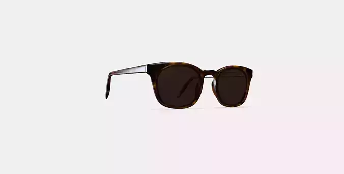 Newman Sunglasses in Woodgrain Tortoise 3D model