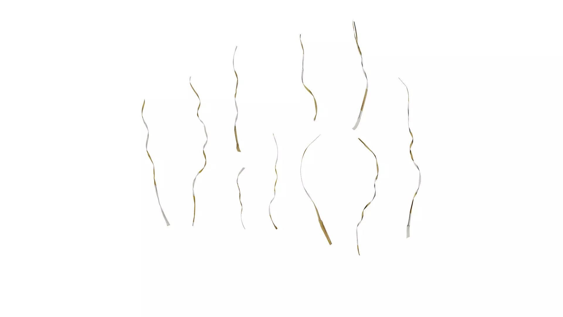 Anydrafts Miscanthus sinensis variegatus 02 Leaf 01 Texture_0