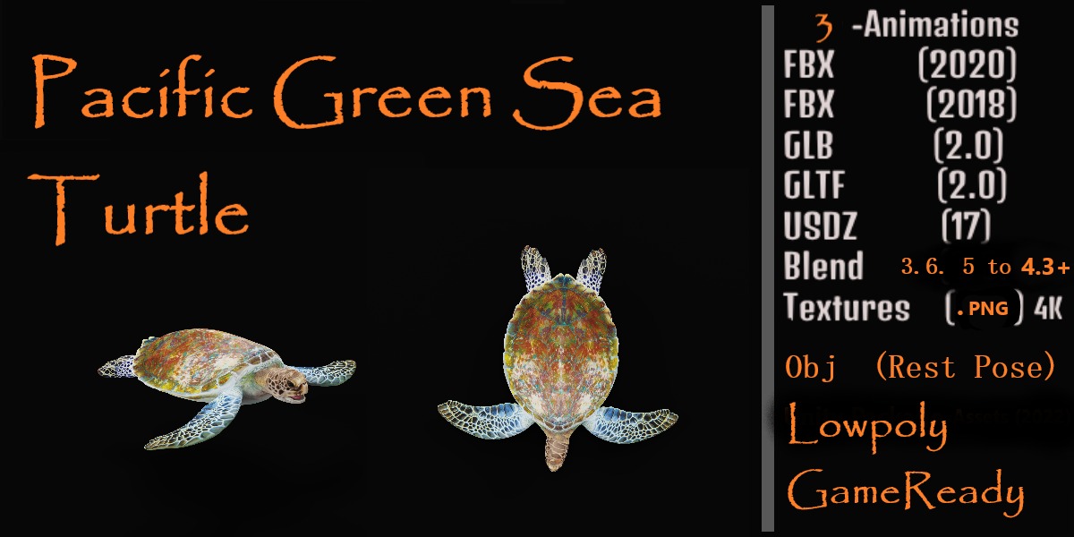 Green Sea Turtle Low-poly 3D model_3