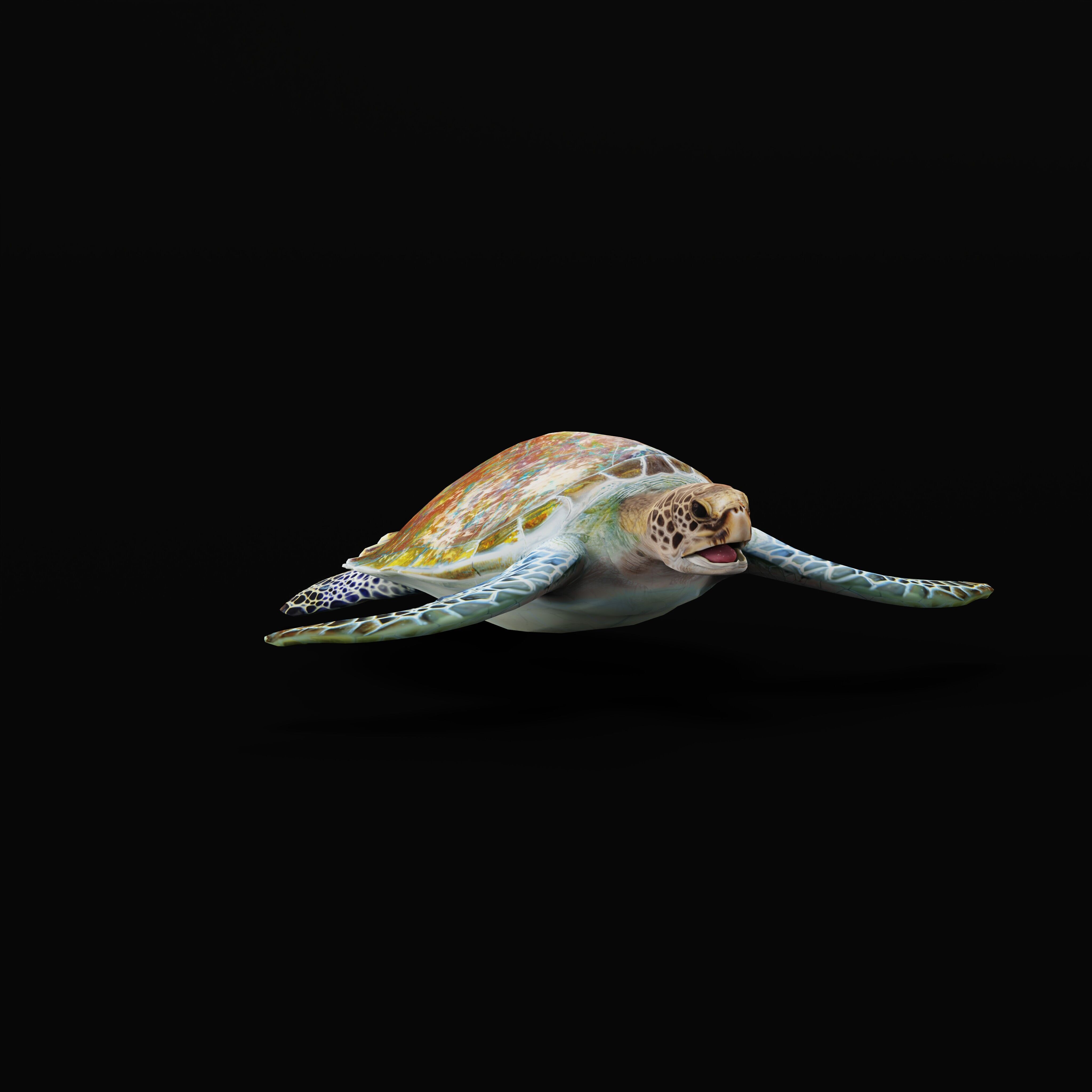 Green Sea Turtle Low-poly 3D model_38