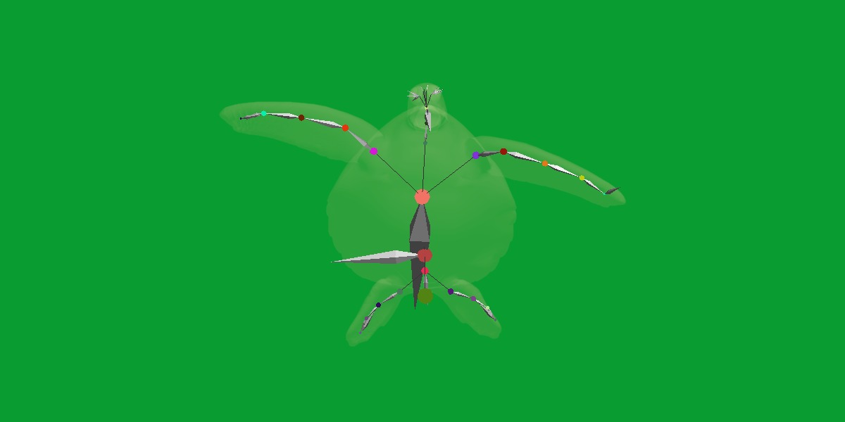 Green Sea Turtle Low-poly 3D model_26