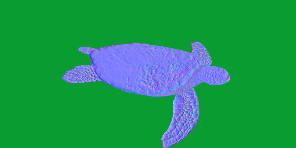 Green Sea Turtle Low-poly 3D model_8