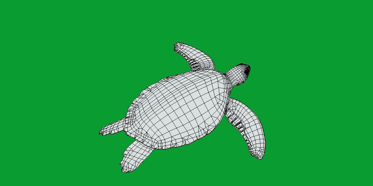 Green Sea Turtle Low-poly 3D model_13