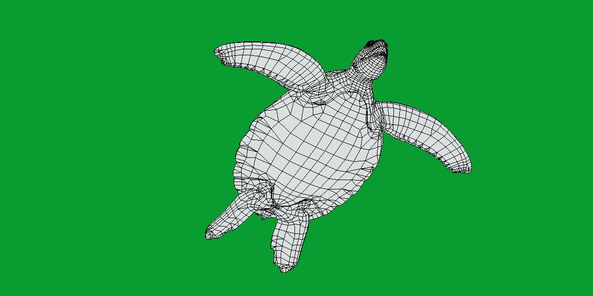 Green Sea Turtle Low-poly 3D model_14