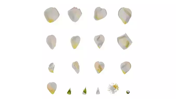 Anydrafts Rosa chinensis Flower 25