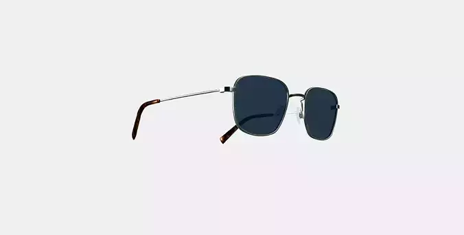 Blount Sunglasses in Antique Silver 3D model