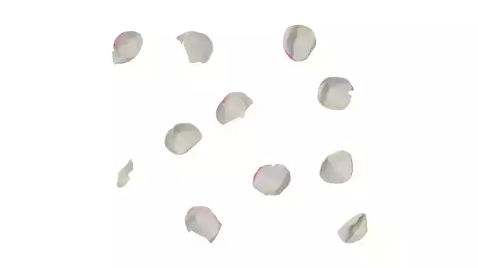 Anydrafts Rosa chinensis Flower 27