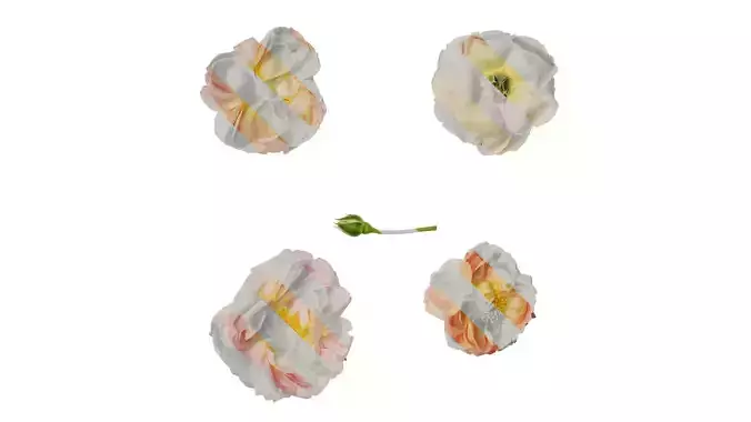 Anydrafts Rosa chinensis Flower 28