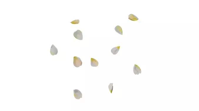 Anydrafts Rosa chinensis Flower 45