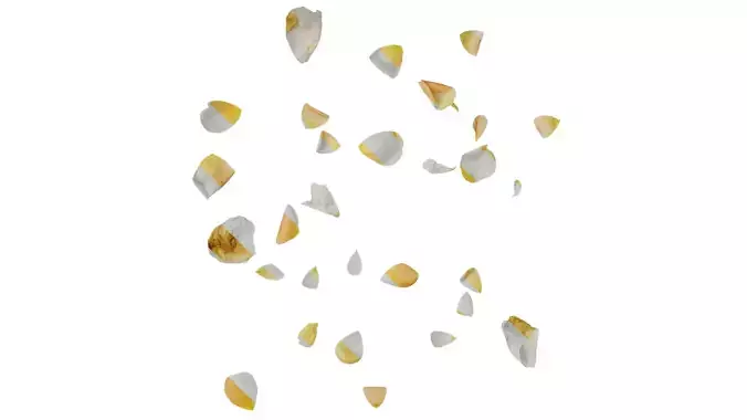 Anydrafts Rosa chinensis Flower 46