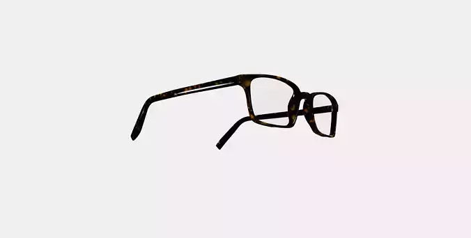 Langhorne Eyeglasses in Whiskey Tortoise