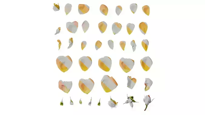 Anydrafts Rosa chinensis Flower 47