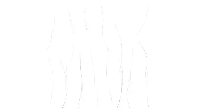 Anydrafts Nassella tenuissima Atlas 01