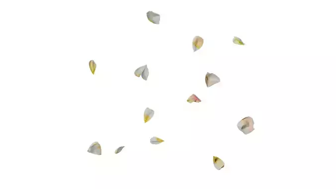 Anydrafts Rosa chinensis Flower 49