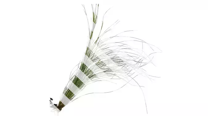 Anydrafts Nassella tenuissima Atlas 05