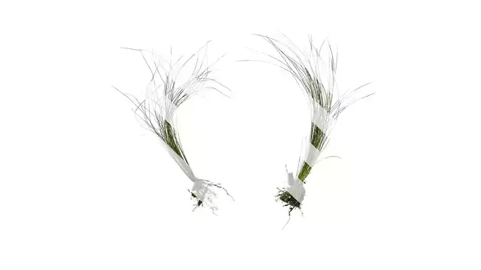 Anydrafts Nassella tenuissima Atlas 07 Texture