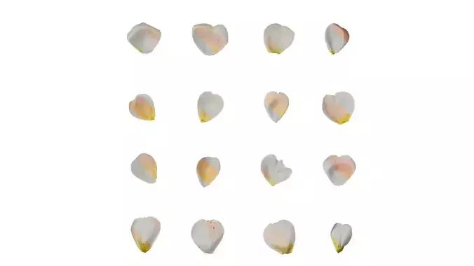 Anydrafts Rosa chinensis Flower 51