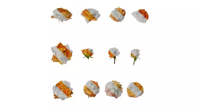 Anydrafts Rosa chinensis Flower 52