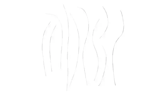 Anydrafts Nassella tenuissima Atlas 11