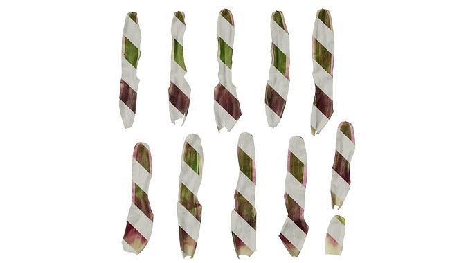 Anydrafts Neoregelia carolinae Leaf 01 Texture