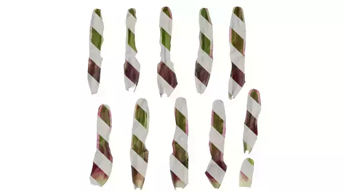 Anydrafts Neoregelia carolinae Leaf 01