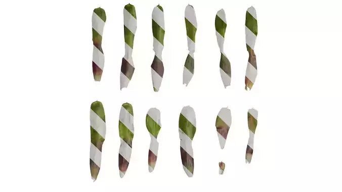 Anydrafts Neoregelia chiquita linda Leaf 01 B