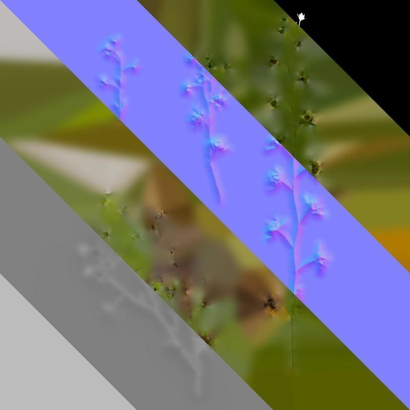 Anydrafts Omphalodes linifolia Atlas 03 Texture_8