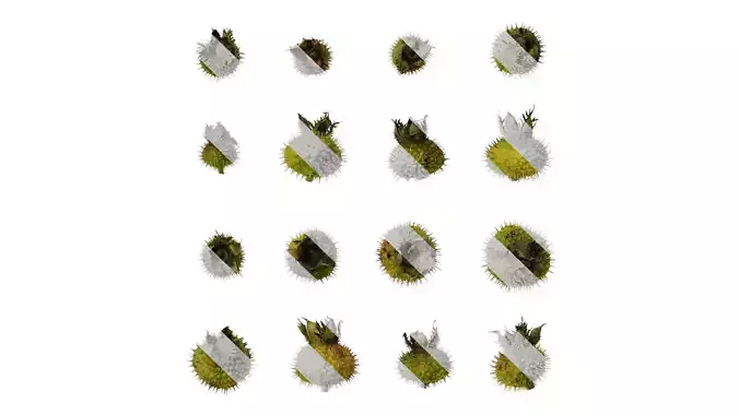 Anydrafts Rosa roxburghii Fruit 01