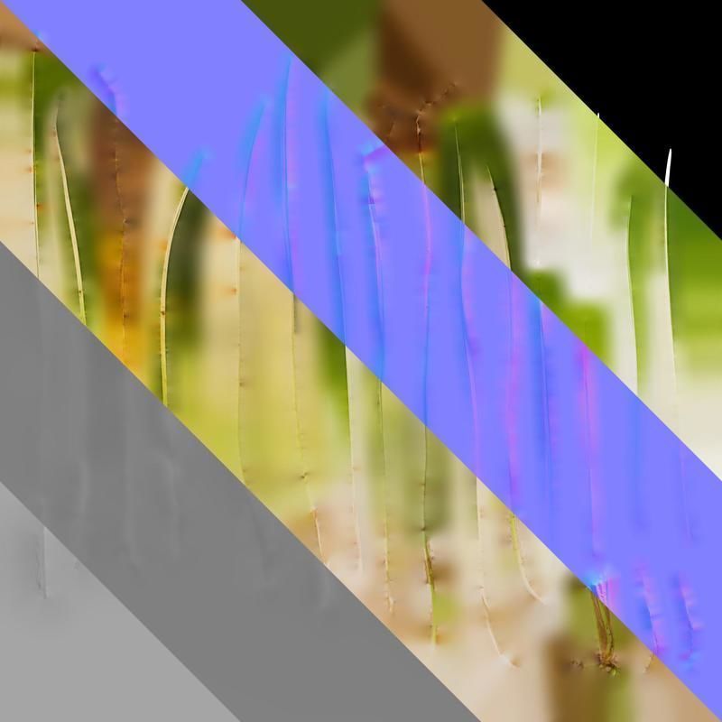 Anydrafts Ophiopogon jaburan vittatus Leaf 01 Texture_8