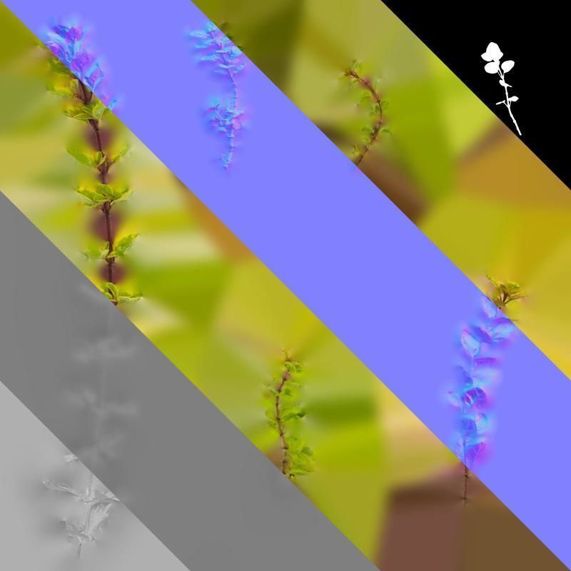 Anydrafts Origanum vulgare variegatum Atlas 01 Texture_8