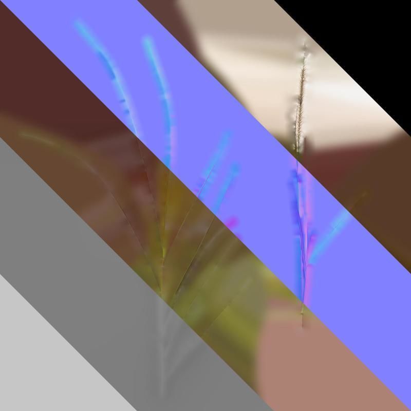 Anydrafts Pennisetum alopecuroides Atlas 01 Texture_8