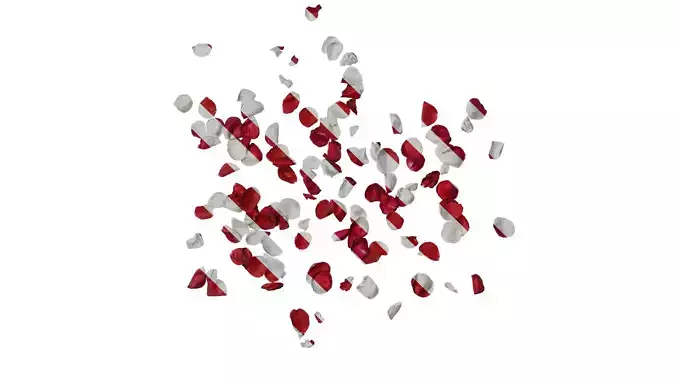 Anydrafts Rosa rugosa Flower 88