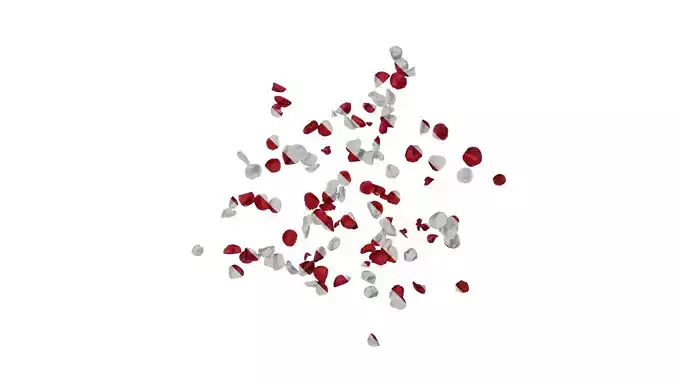 Anydrafts Rosa rugosa Flower 89